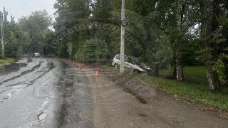 В Иванове 18-летний водитель Kia Carnival врезался в дерево и сбежал